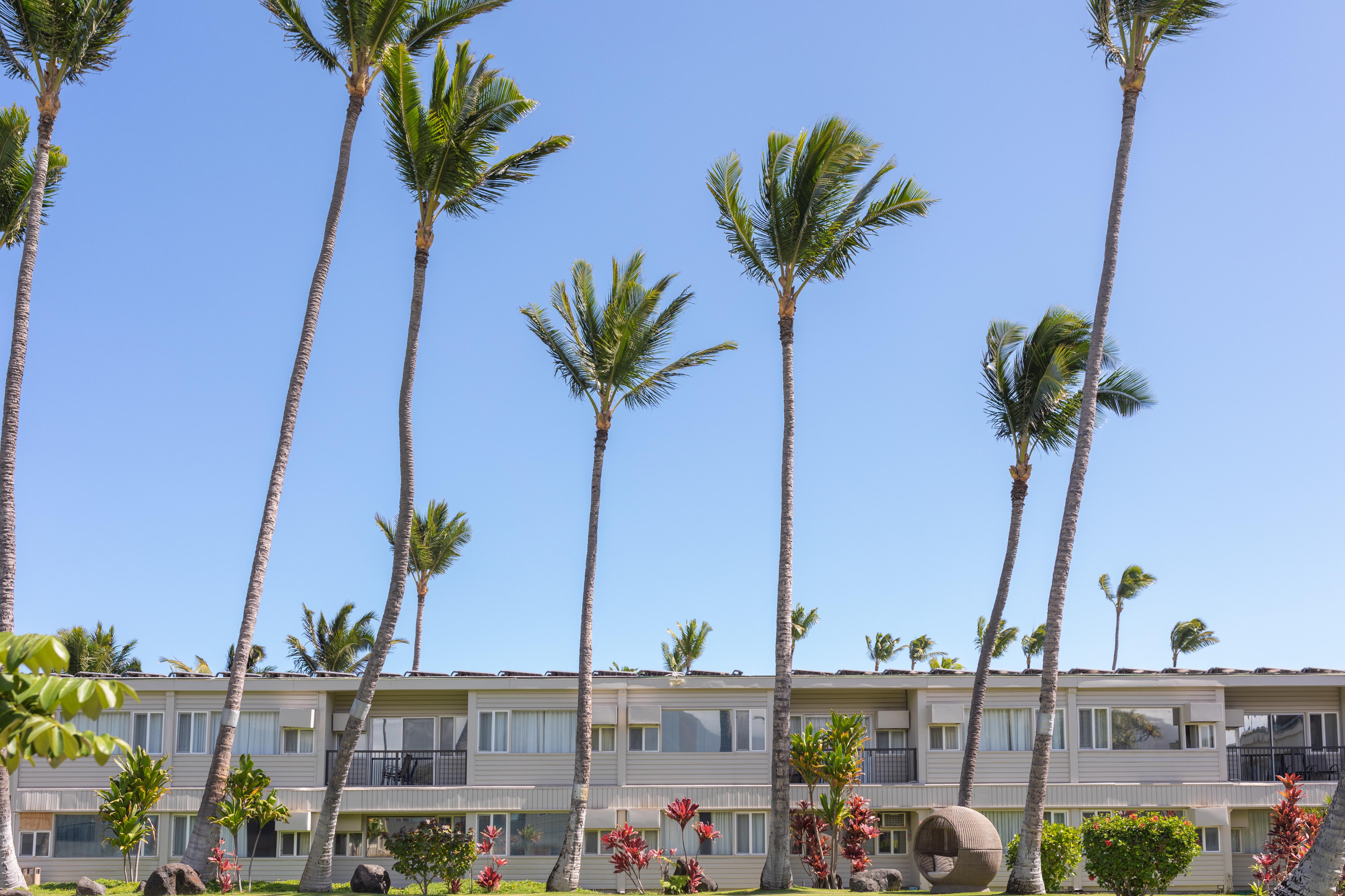 Maui Beach Hotel Kahului Eksteriør billede